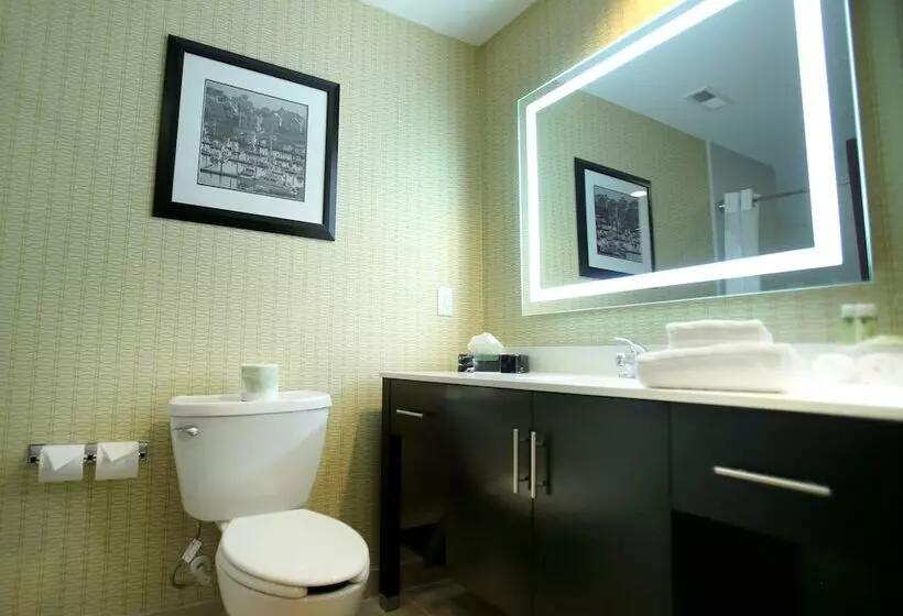 スイート, Holiday Inn Express & Suites Southport   Oak Island Area, An Ihg