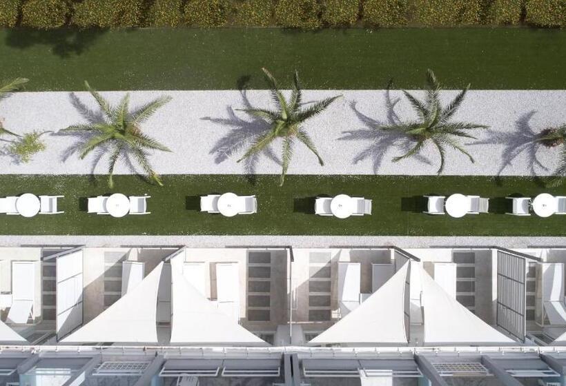 수피리어 룸, Kouros Seasight