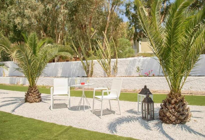 수피리어 룸, Kouros Seasight