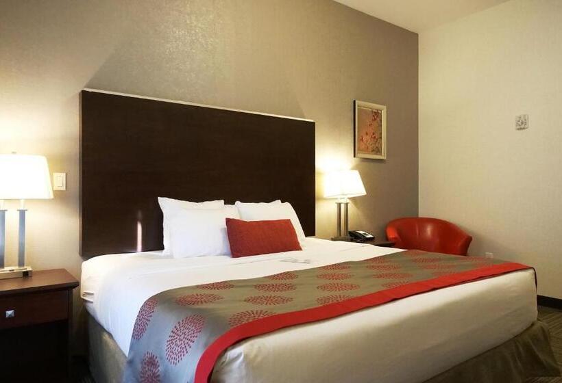 סטודיו סטנדרט, מיטה זוגית, Ramada By Wyndham Moose Jaw