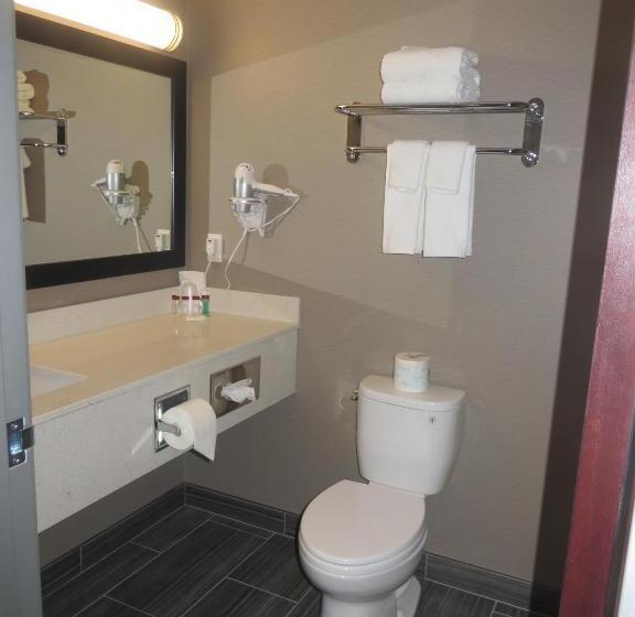 חדר סטנדרט עם מיטת קינג, Ramada By Wyndham Moose Jaw