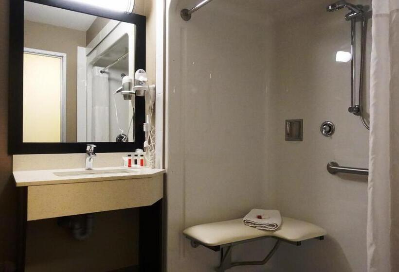 חדר סטנדרט, מיטת קינג, מותאם לאדם עם מוגבלויות, Ramada By Wyndham Moose Jaw