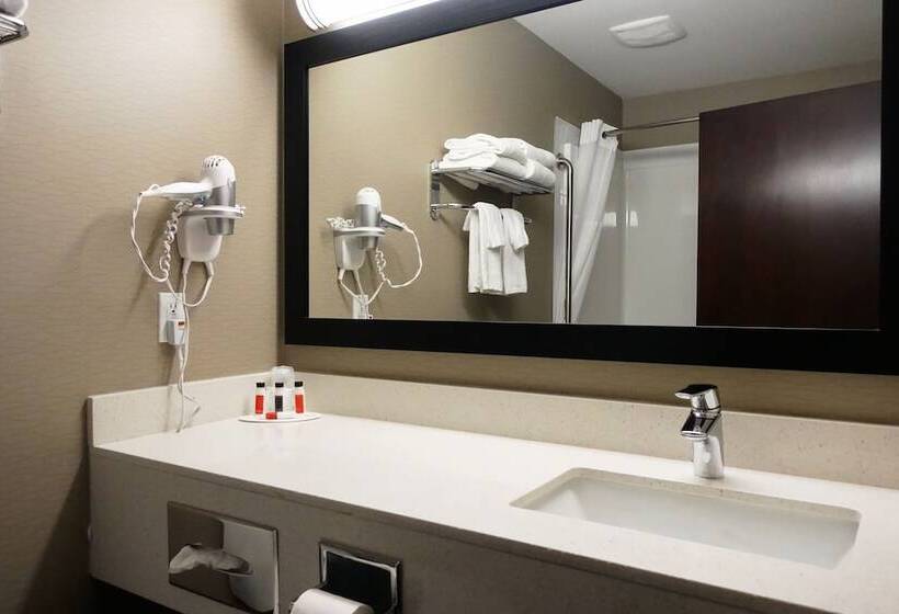 סוויטה דלוקס, Ramada By Wyndham Moose Jaw