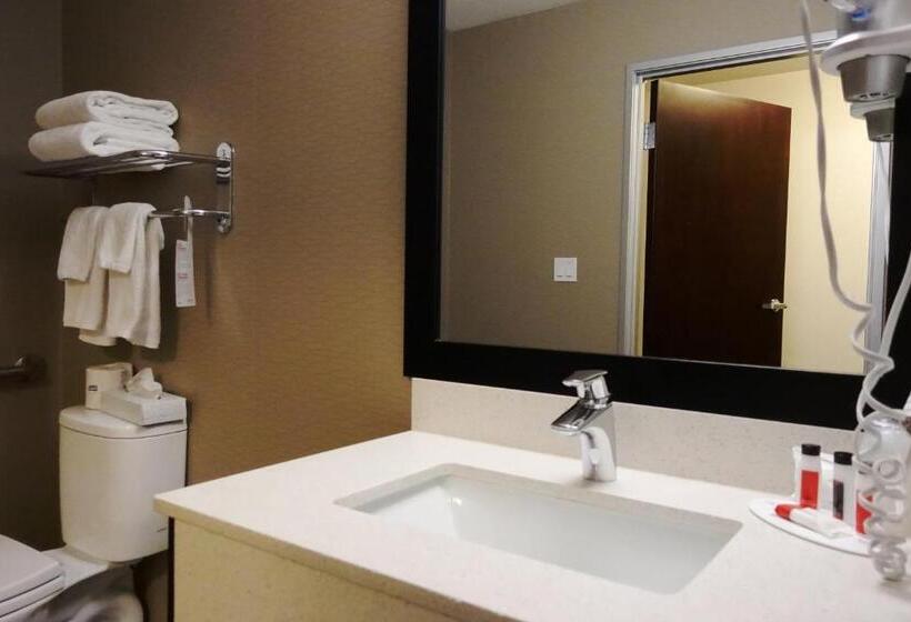 סטודיו סטנדרט, מיטה זוגית, Ramada By Wyndham Moose Jaw