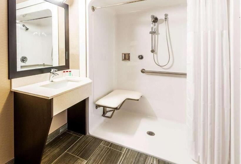 חדר סטנדרט, מיטת קינג, מותאם לאדם עם מוגבלויות, Ramada By Wyndham Moose Jaw