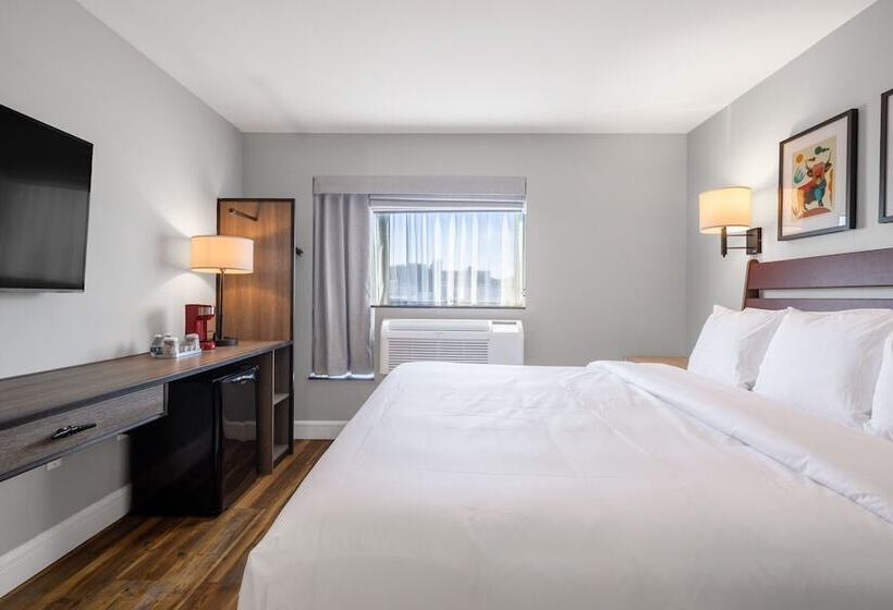 اتاق استاندارد با تخت دوبل, The Lodge Red Hook