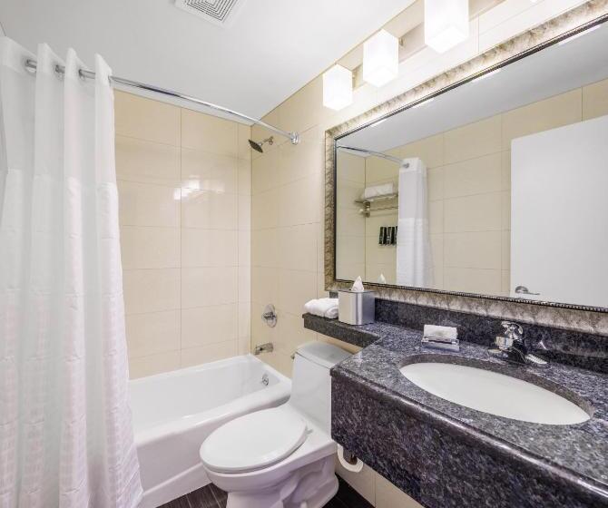 اتاق استاندارد با تخت بزرگ, The Lodge Red Hook