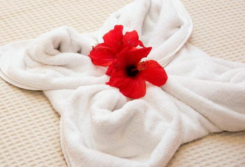 إستوديو قياسى مطل على البحر, Ippoliti Village