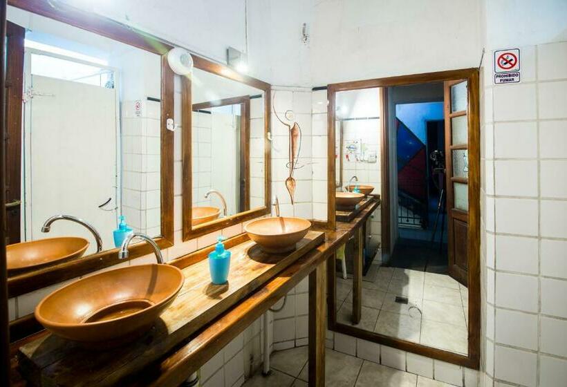 اتاق استاندارد, Rupestre Hostel