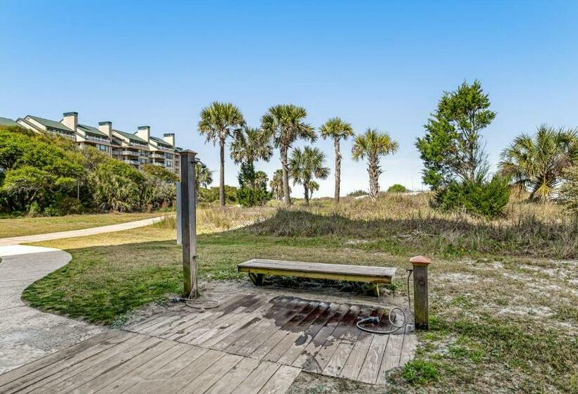 3ベッドルームアパートメント, Ocean Club 1301