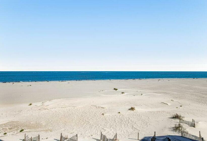 3ベッドルームアパートメント, Ocean Club 1301