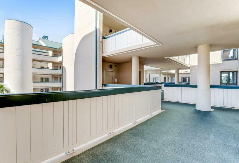 3ベッドルームアパートメント, Ocean Club 1301