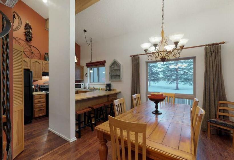 דירת שני חדרים, Pines 4043