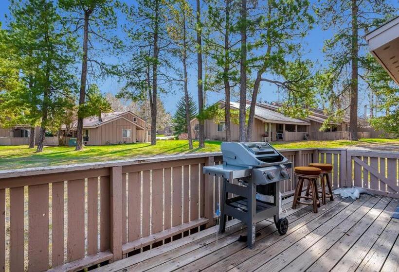 דירת שני חדרים, Pines 4043