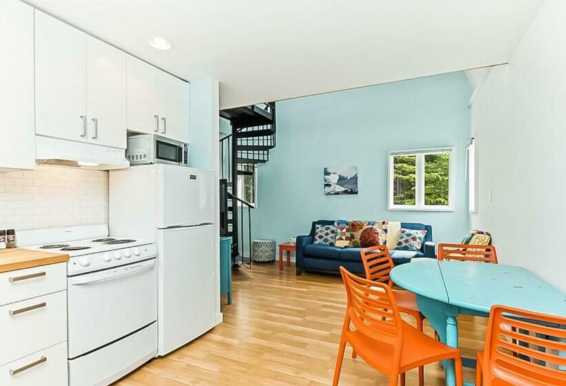 إستوديو قياسى, Kabina On Vail