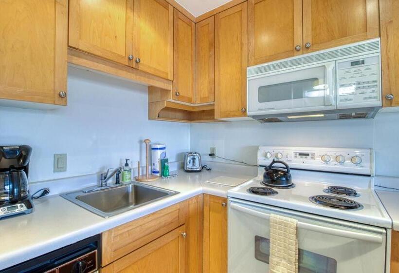 Студия Стандарт, 1 Bath Studio Apartment In Snowmass Village