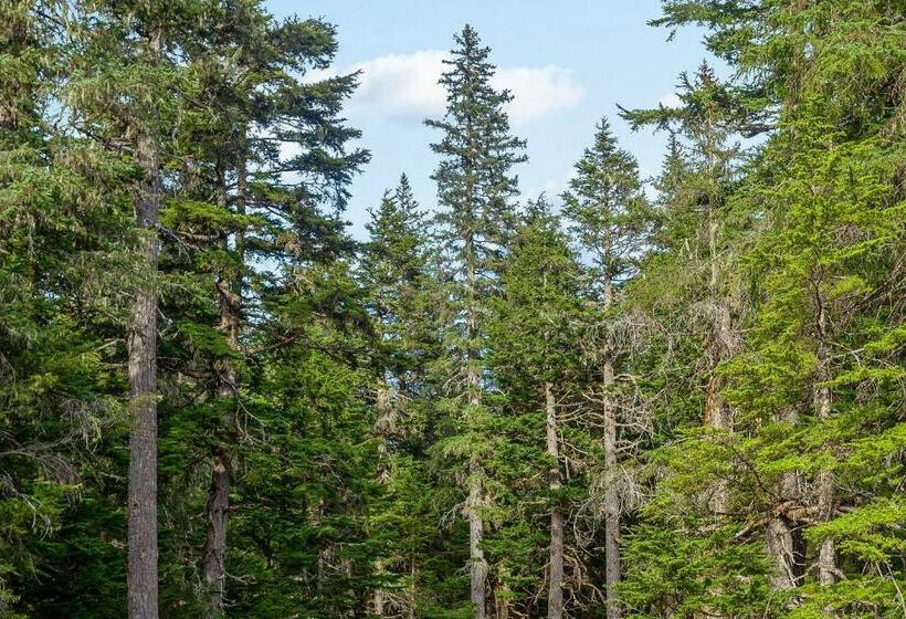 إستوديو قياسى, Crow Creek