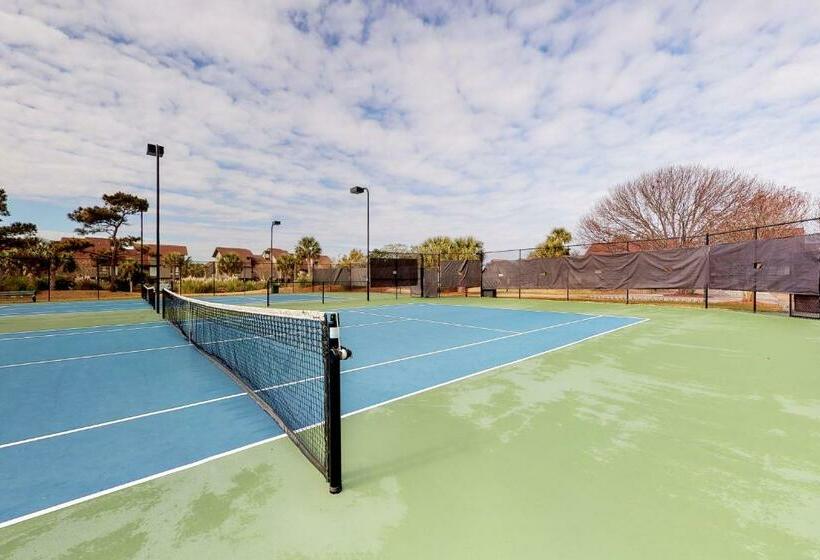 דירת שלושה חדרים, Palmetto Sunrise