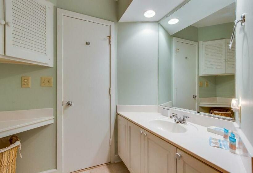 דירת שני חדרים, Tidewater H 203