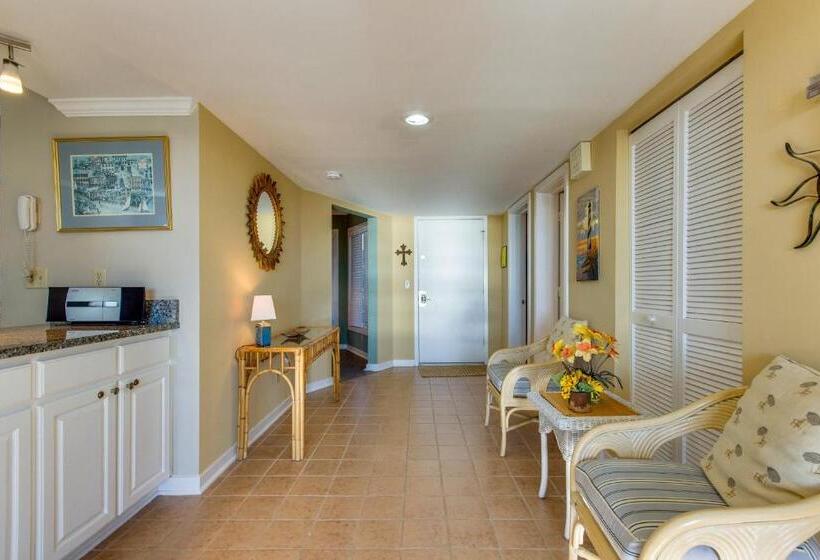 דירת שני חדרים, Tidewater H 203