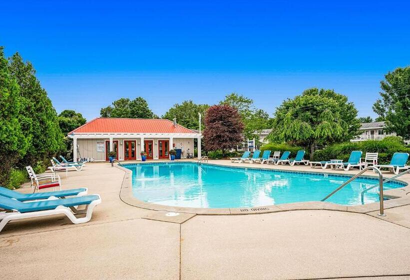 带1个卧室的公寓, Bluebird Condo