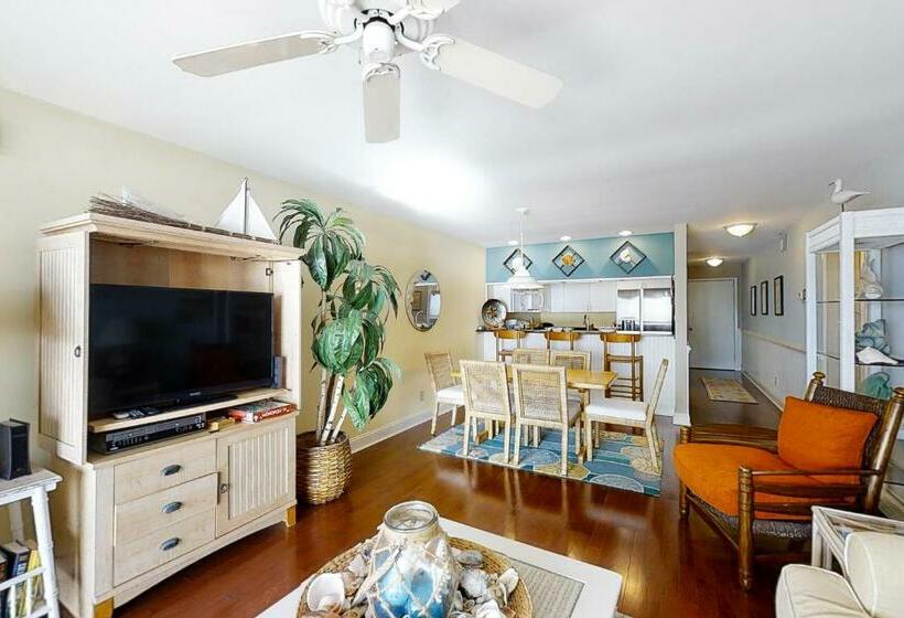 דירת שני חדרים, Breakers C 22