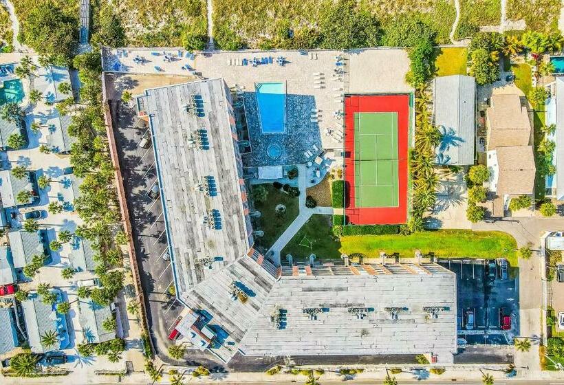 شقة 3 غرف, The Pelican S Brief