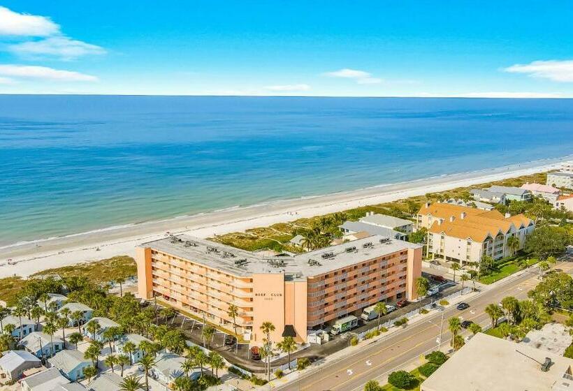 شقة 3 غرف, The Pelican S Brief