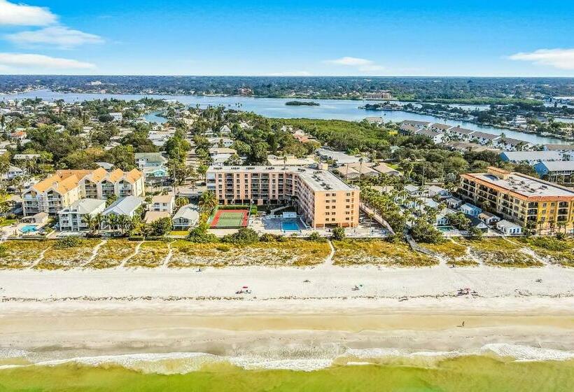 شقة 3 غرف, The Pelican S Brief