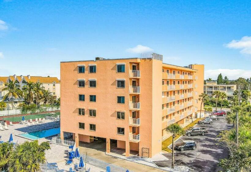 شقة 3 غرف, The Pelican S Brief