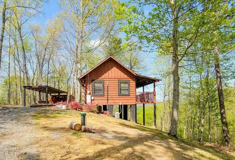 Standard-studio, Cozy Cabin