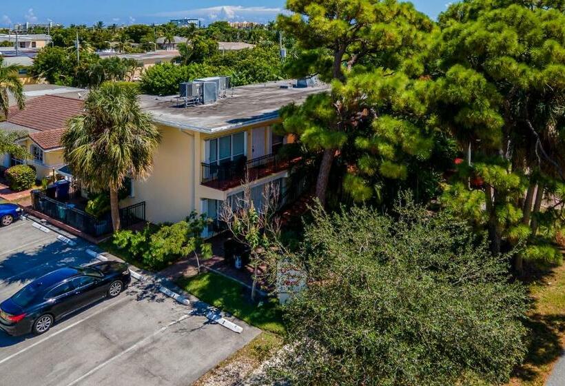 דירת חדר, Deerfield Delight #2