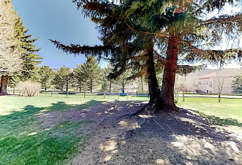 带1个卧室的公寓, Nottingham Nook