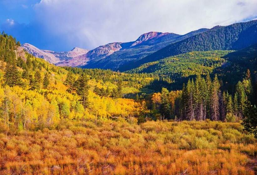 带1个卧室的公寓, Nottingham Nook