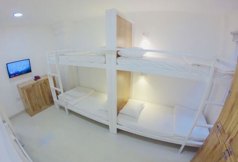 تختخواب در اتاق مشترک, Phan Anh Backpackers Hostel