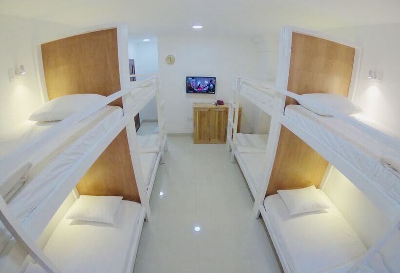 تختخواب در اتاق مشترک, Phan Anh Backpackers Hostel