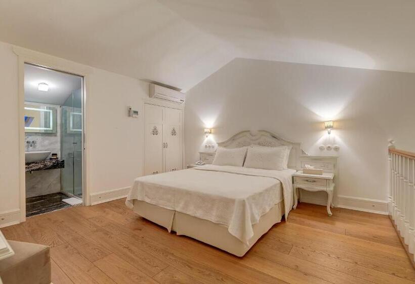 Suite, Antmare