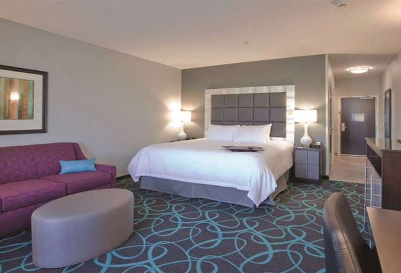 스탠다드 룸 킹사이즈 침대, Hampton Inn Kearney