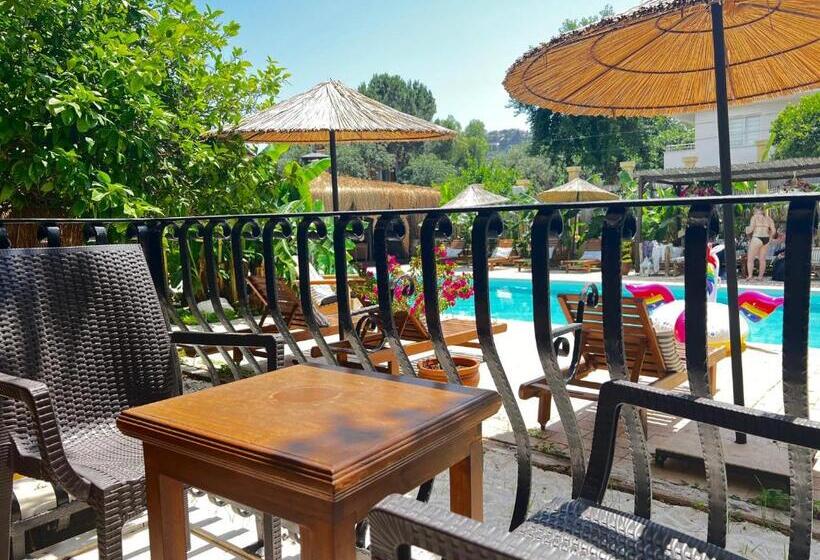 Номер Стандарт, Han Boutique