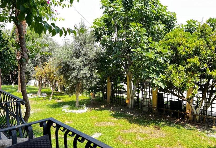 Номер Стандарт, Han Boutique