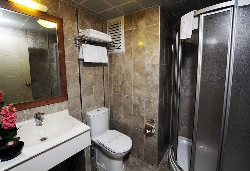 غرفة قياسية فردية, Helen Park