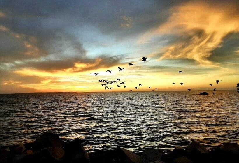 エクゼクティブスイート, Malaika Beach Resort