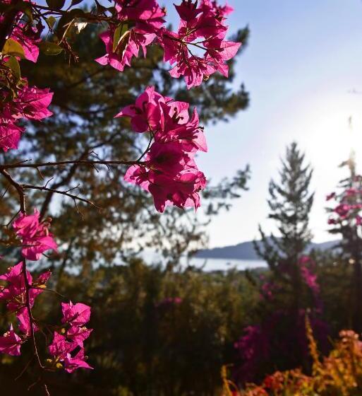 Номер Стандарт, Symbola Oludeniz Beach