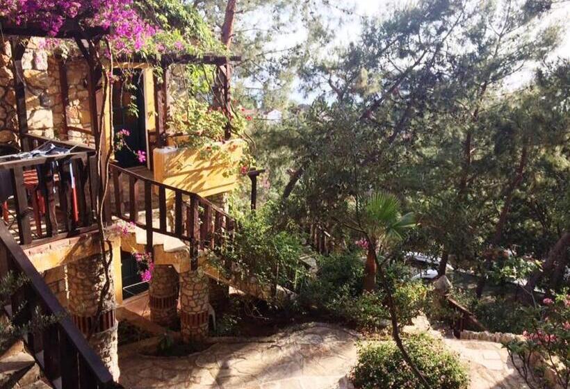 Номер Стандарт, Symbola Oludeniz Beach