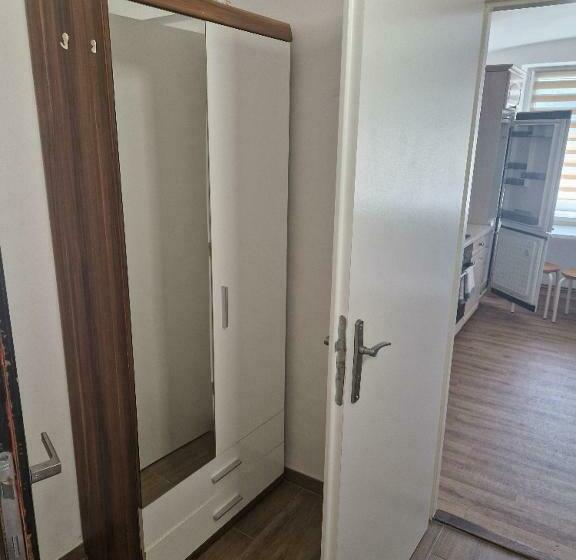 סוויטה, Penzion Dubí   Ruská 393   110