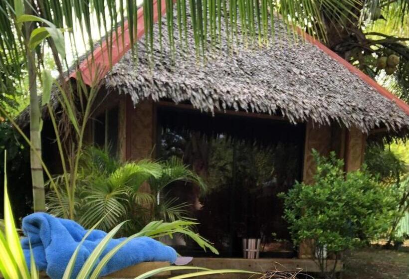 اتاق استاندارد با سرویس بهداشتی مشترک, Bohol Island Homestay