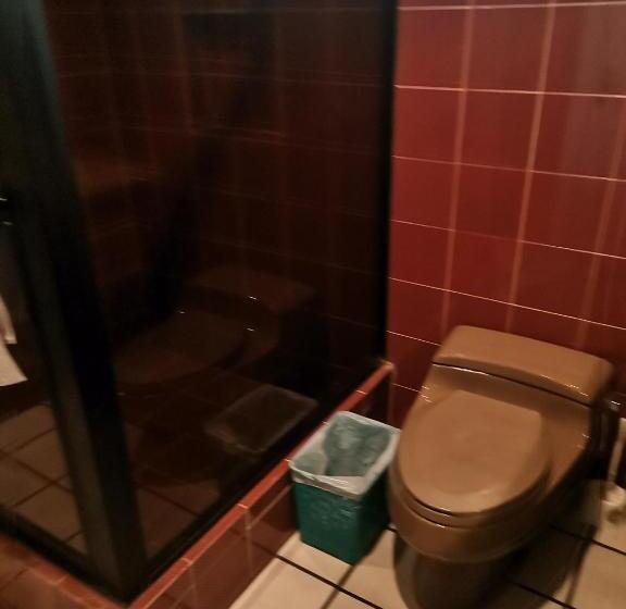 Номер Стандарт, La Granja De Papá Alberto