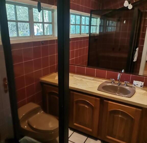 Номер Стандарт, La Granja De Papá Alberto