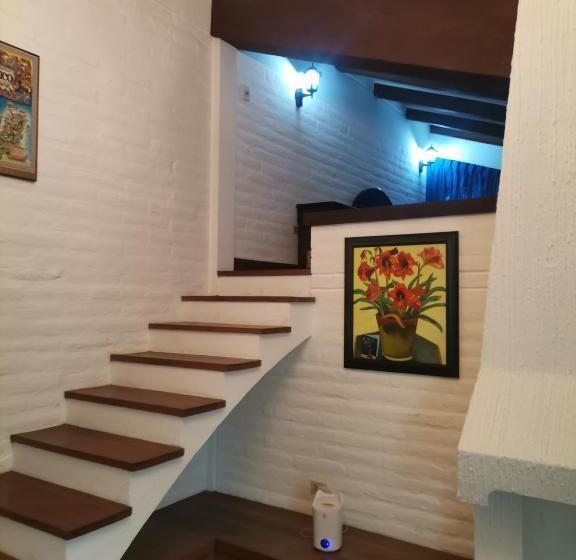 Номер Стандарт, La Granja De Papá Alberto