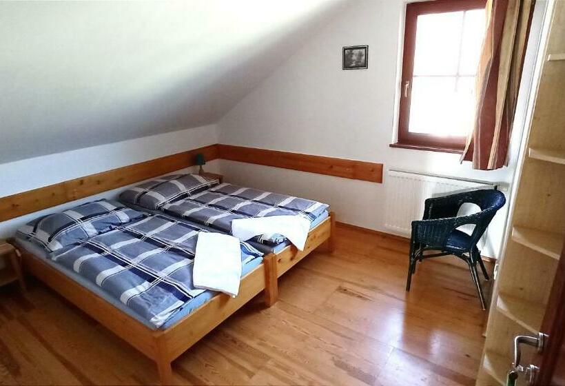 バス共有のスタンダードルーム, Penzion Vanda